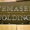 Temasek to eye finance, hi-tech, healthcare partnerships