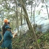 Tay Ninh rolls out drastic solutions to forest fires 