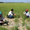 Drought affects over 13,000 households in Tra Vinh