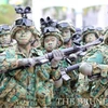Brunei increases defence spending by 4.7 ptc in 2016 