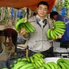 Price of export Vietnamese bananas soar following increased demand 