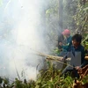  Localities hurt by widespread forest fires