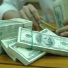 Foreign reserves soar to record high of 40 billion USD