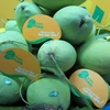 Dong Thap promotes fruit exports 