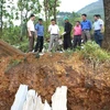 Hail storms kill one, injure two in Ha Giang