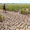 Cambodia launches water distribution campaign to drought –hit people