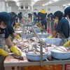 Vietnam appreciates US Senate’s vote to end catfish inspection 