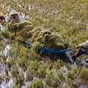 Rain, wind batter Mekong farms 