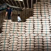 Thailand to sell 10 million tonnes of stockpiled rice