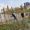 Conference seeks safe water supply for Mekong Delta