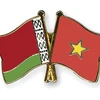 Vietnam, Belarus hold political consultation at deputy FM level 