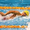 Vietnamese swimmer wins gold in Budapest competition 