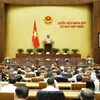 First session of 14th National Assembly opens 
