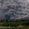 Indonesia: Volcanic eruptions hinder air travel 