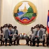 Laos welcomes Vietnam’s projects on goods production, wood processing