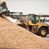 Woodchip exports tumble in first six months