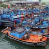 Fishing fleet in Thanh Hoa boosts capacity
