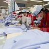 Vietnam-EAEU deal to triple trade revenue 