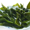 Promising seaweed industry needs adequate investment