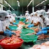 Panama to import Vietnam’s seafood