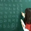 Korean to be taught at schools in HCM City, Hanoi