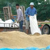 Thailand suspends rice auctions