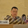 VN integrates human rights education into community activities