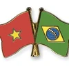 Vietnam-Brazil forum seeks new agricultural trade possibilities