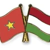 Exchange programme boosts Vietnam-Hungary cooperation