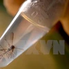 ASEAN health ministers battle with Zika in teleconference