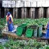 HCM City fights pollution in canals