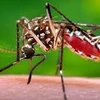 Philippines confirms three new Zika cases