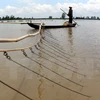 Fishermen switch jobs as Mekong Delta dries up