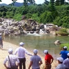 Eecotourism site in Binh Dinh draws tourists