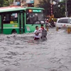 Vietnam makes efforts to minimize natural disaster risks