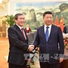 Vietnam, China propel bilateral ties