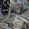 Nearly 1 tonne of smuggled elephant tusks found in HCM City 