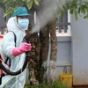 Central localities work to tackle dengue fever 