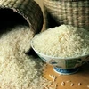 Thai government attempts to stabilise rice market 