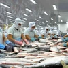 China becomes Vietnam’s second biggest tra fish market 