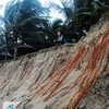 Erosion threatens beach in Lang Co Bay