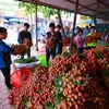 Agriculture sector aims to complete 1.2 percent growth target 