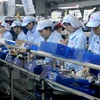 Bac Ninh Industrial Park attracts 455 million USD in FDI 