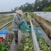 Int’l forum on new rural development opens in Hanoi