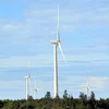 Vietnam urged to tap wind power potential