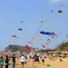 Int’l Kite Festival in Vung Tau