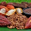 Vietnam hungry for bigger bite of cocoa market