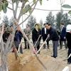 Localities launch tree planting festival