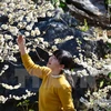 Plum flowers blossom all over Northwest region