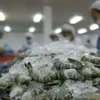 Shrimp exports expected to reach 5 bln USD by 2020